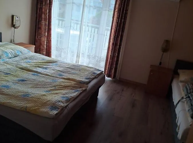 Alinka Apartmanhaz 아파트